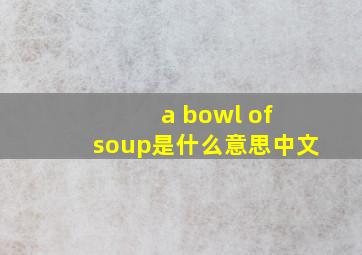 a bowl of soup是什么意思中文